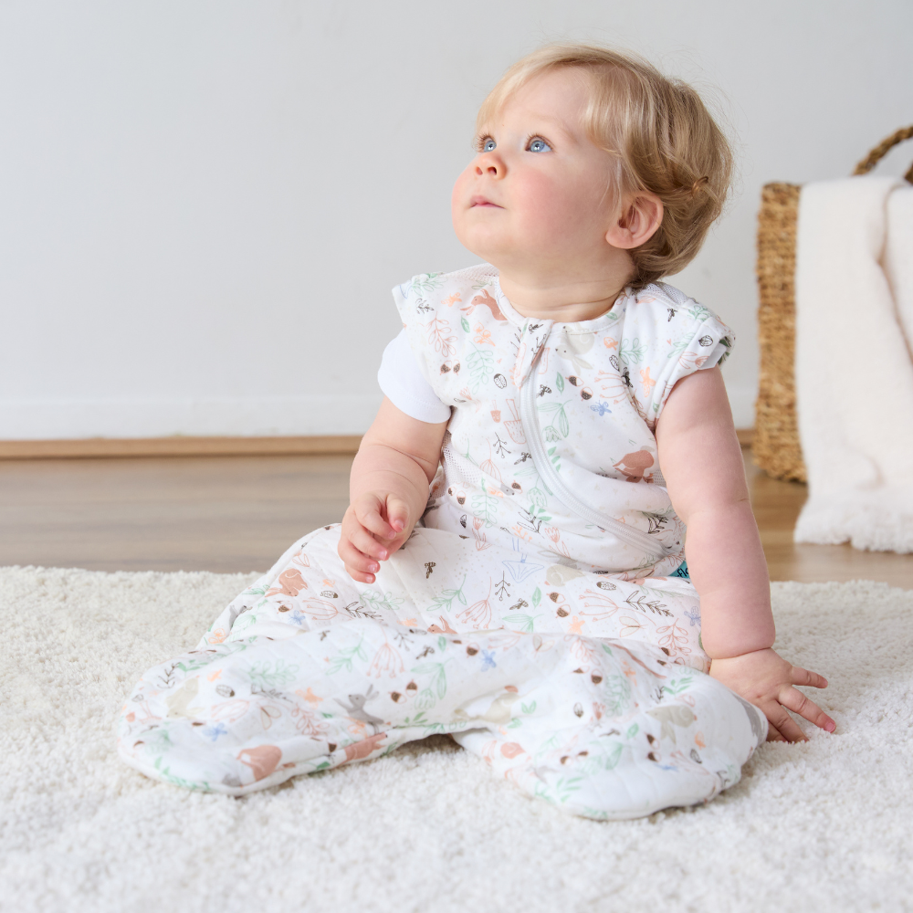 Cuddle to Sleep Bag 2.5 Tog 3-12m