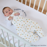 Swaddle to Sleep Bag 2.5 Tog - 0-4M All Seasons